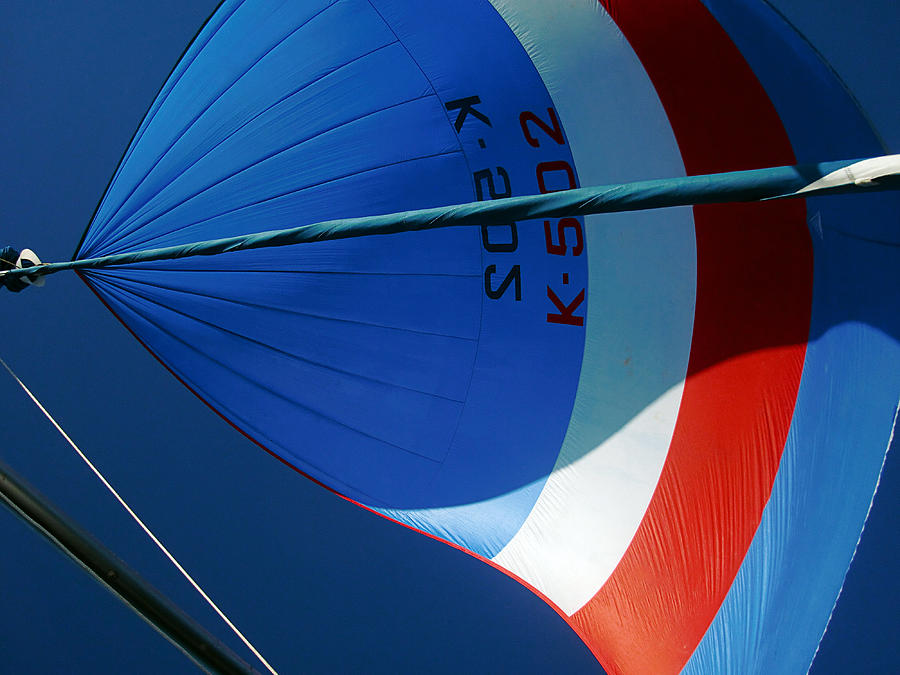 Spinnaker Flying Photograph By Tony Reddington