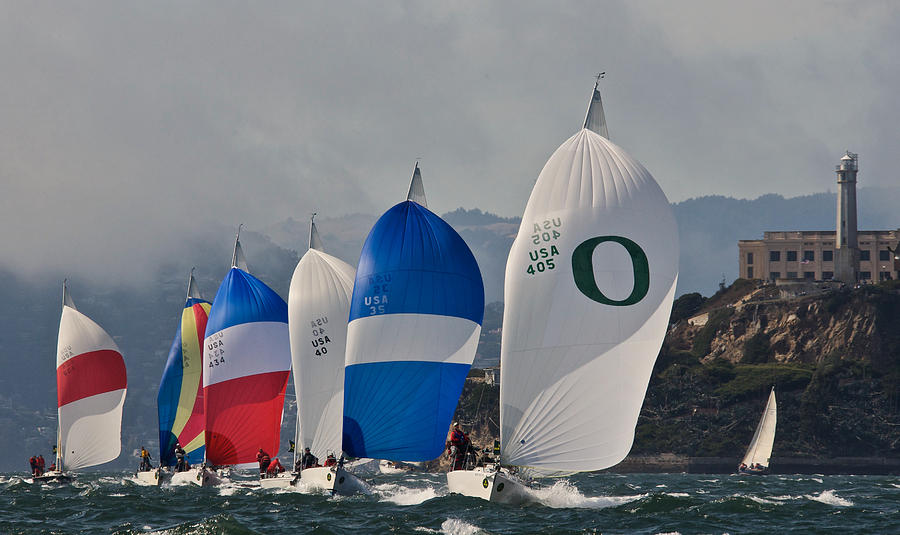 Spinnakers on The Bay Photograph by Steven Lapkin