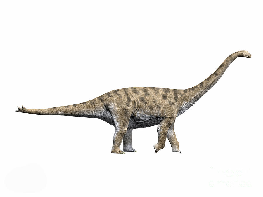 Wildlife Digital Art - Spinophorosaurus Nigerensis, Middle by Nobumichi Tamura