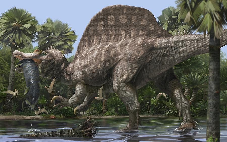 big spinosaurus