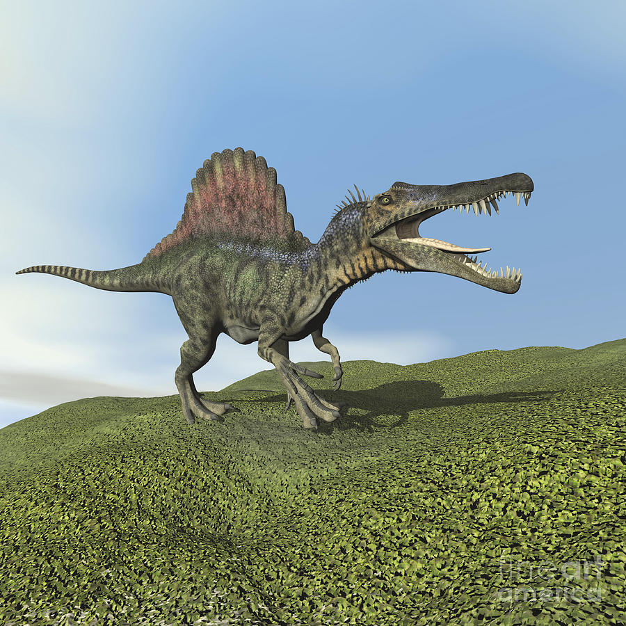 Spinosaurus Dinosaur Digital Art