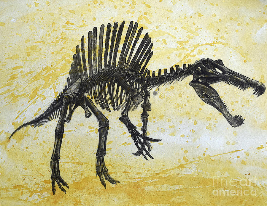 Spinosaurus Dinosaur Skeleton Digital Art by Harm Plat