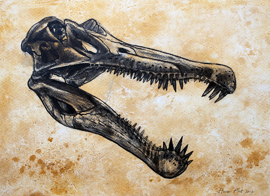 Dinosaur Painting - Spinosaurus skull by Harm  Plat