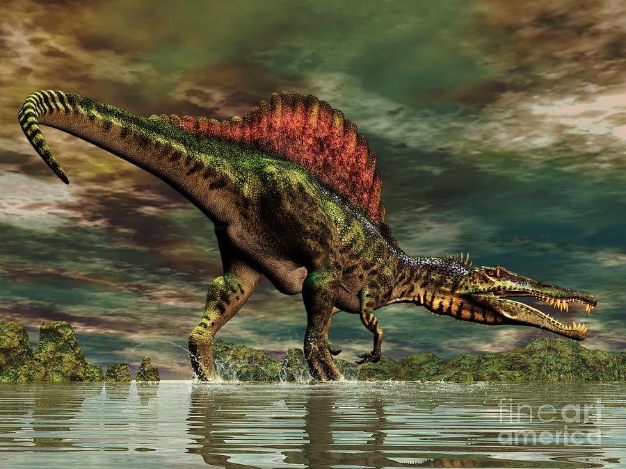 Wildlife Digital Art - Spinosaurus Was A Large Theropod by Philip Brownlow