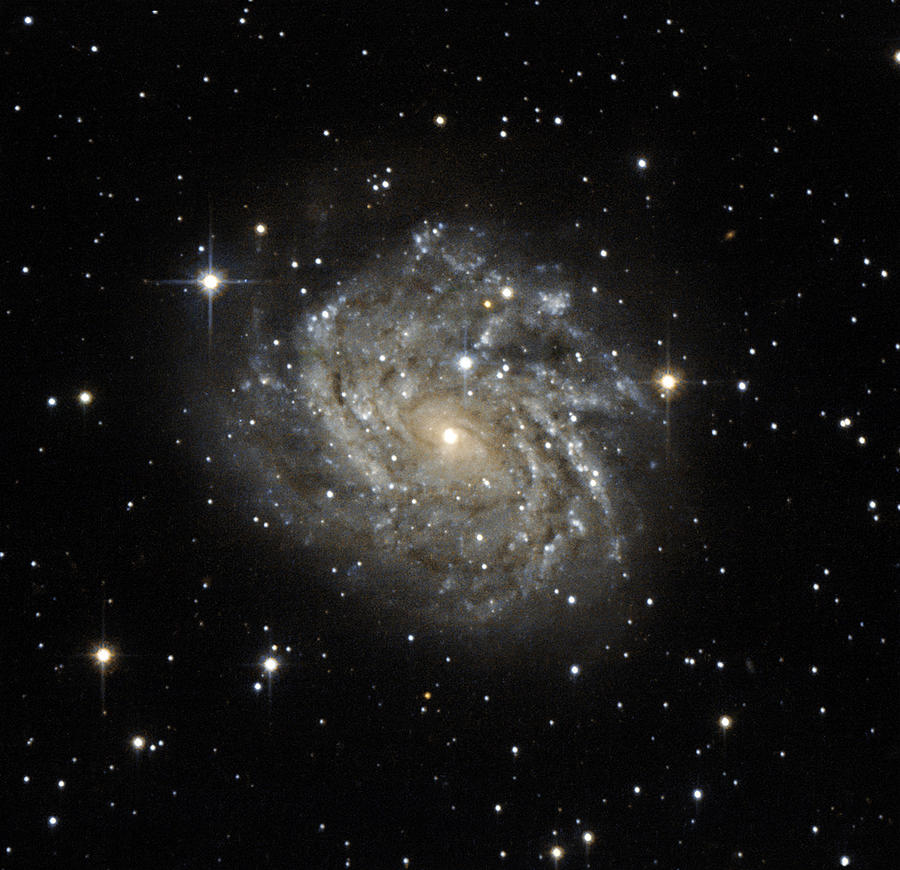 Spiral Galaxy Leda 89996 Photograph by Science Source