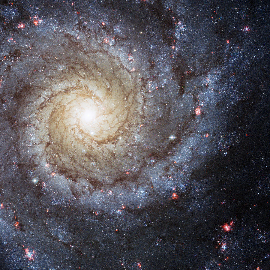 Spiral Galaxy M74 Photograph by Adam Romanowicz Spiral Galaxy M74 Photograph by Adam Romanowicz
