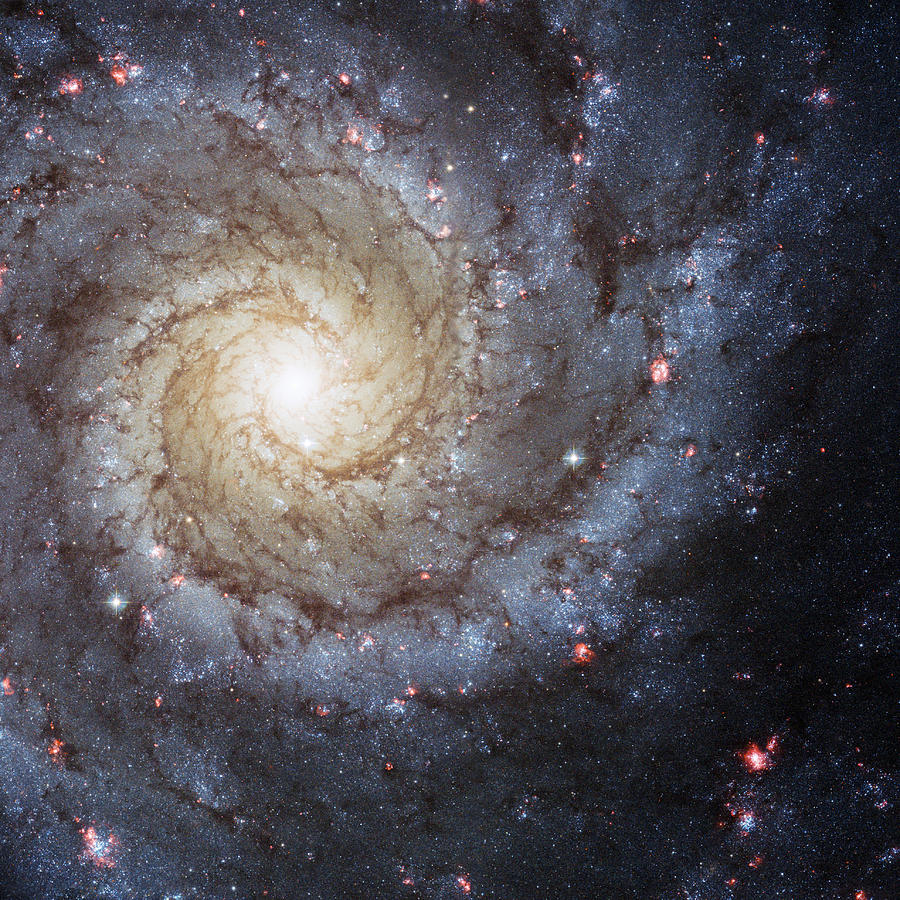 Spiral Galaxy M74 Photograph by Adam Romanowicz