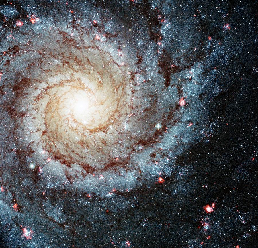 Spiral Galaxy M74 Photograph by Nasa/esa/hubble Heritage Team/stsci/science Photo Library