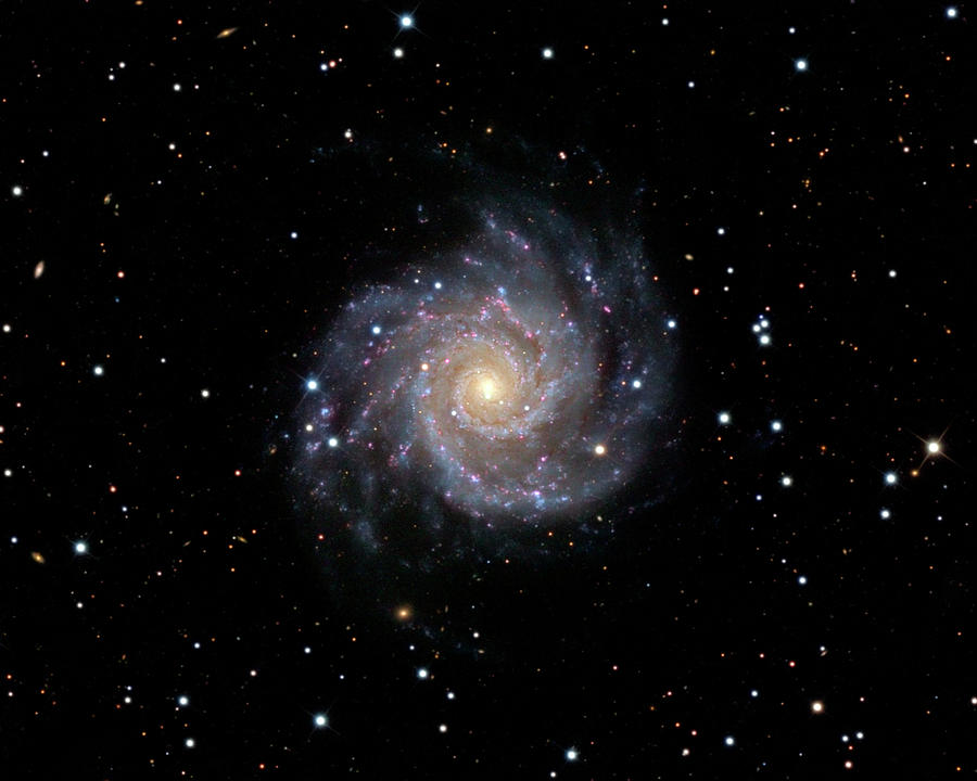 Spiral Galaxy M74 Photograph by Russell Croman/science Photo Library