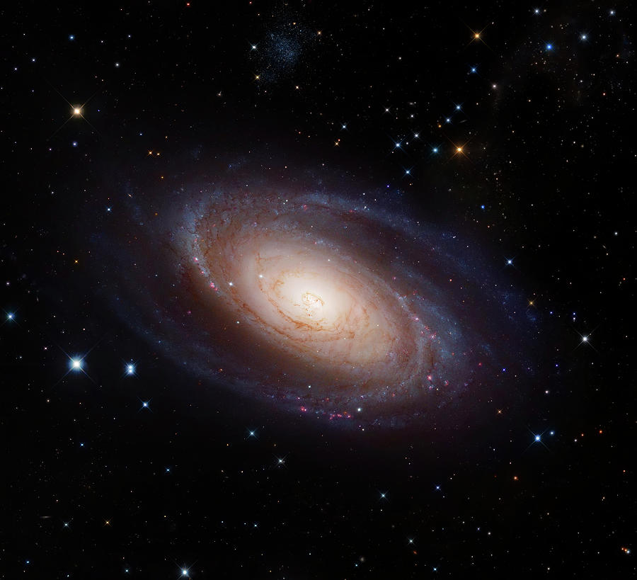 Spiral Galaxy M81 Photograph by Naoj/nasa/esa/stsci/robert Gendler ...