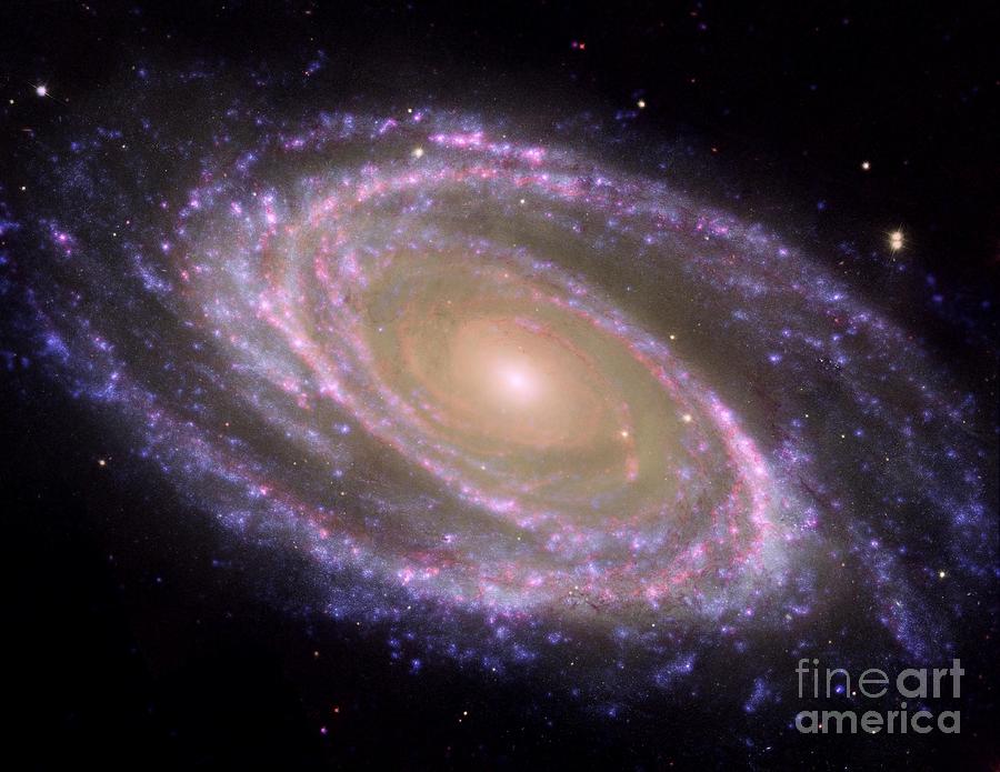Spiral Galaxy M81 Photograph by Rod Jones