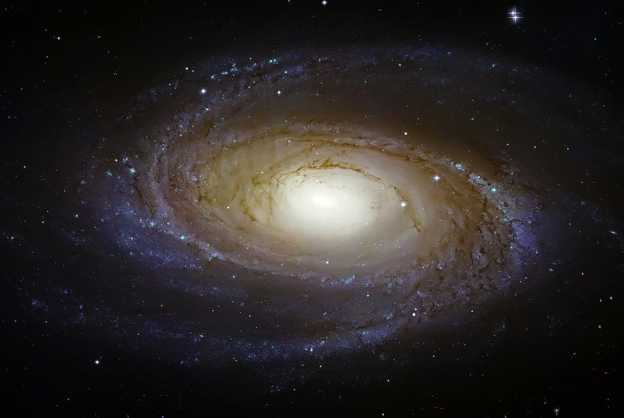 Space Photograph - Spiral Galaxy M81 by Jennifer Rondinelli Reilly - Fine Art Photography