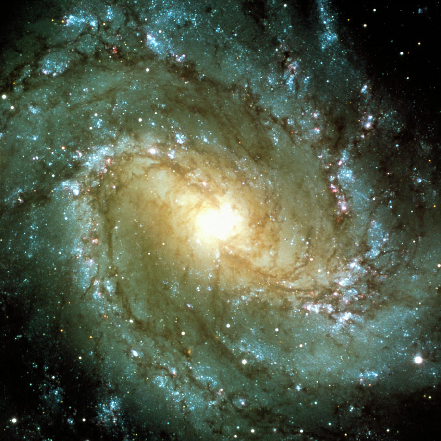 Spiral Galaxy M83 Photograph by European Southern Observatory / Science Photo Library