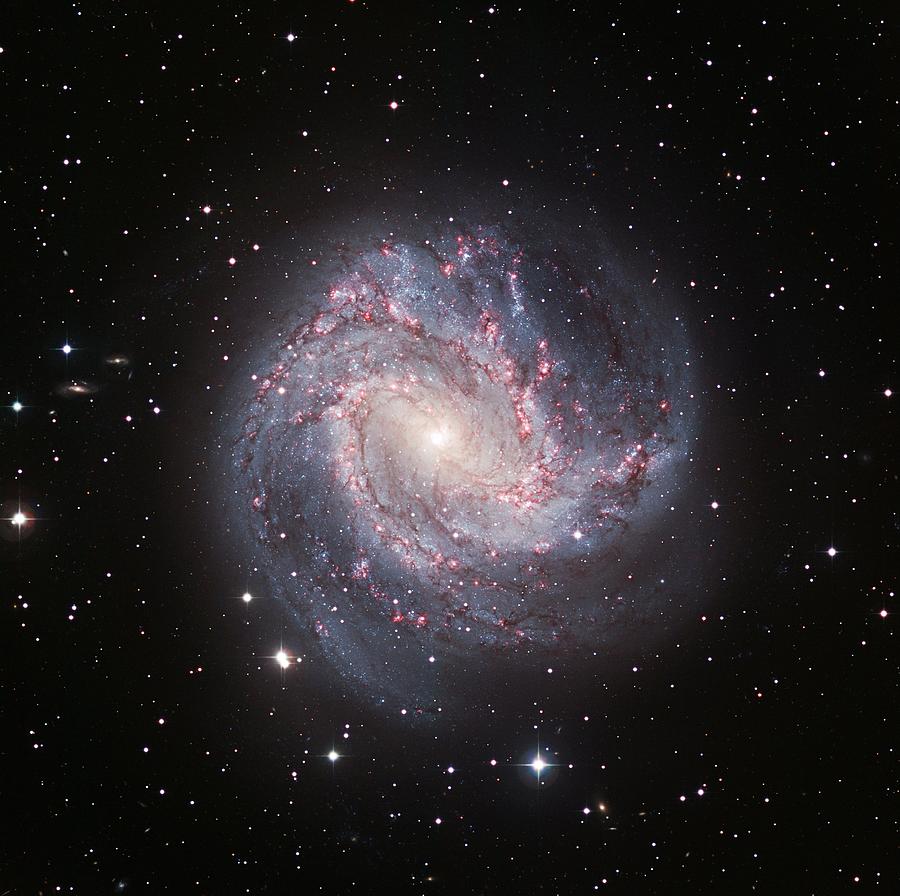 Spiral Galaxy M83 Photograph by European Southern Observatory/science Photo Library