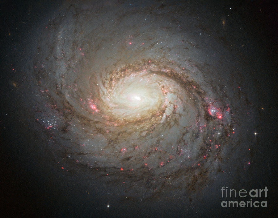 Spiral Galaxy Messier 77 Photograph by Science Source