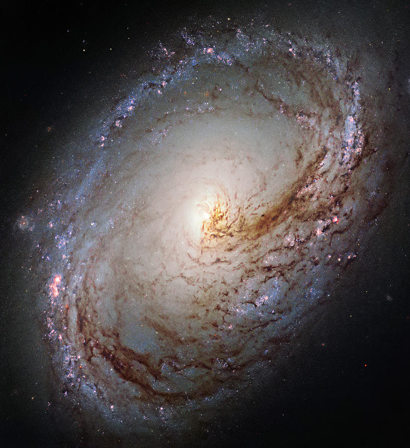 Spiral Galaxy Messier 96 Photograph by Science Source