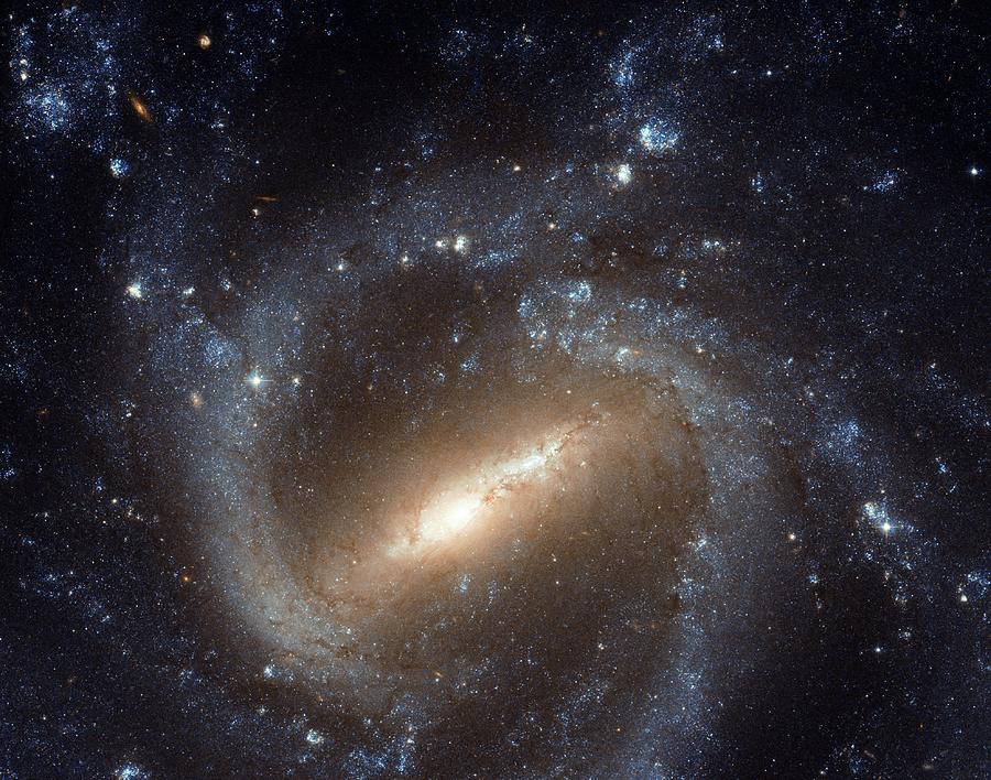 Spiral Galaxy Ngc 1073 Photograph by Nasa/esa/stsci/science Photo Library
