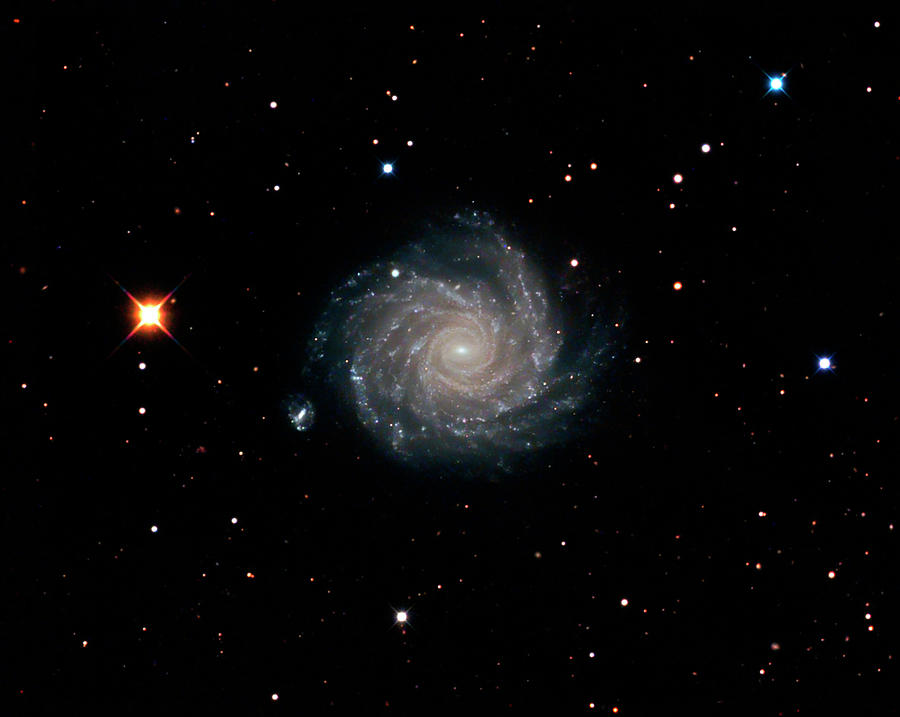 Spiral Galaxy Ngc 1232 Photograph by Damian Peach