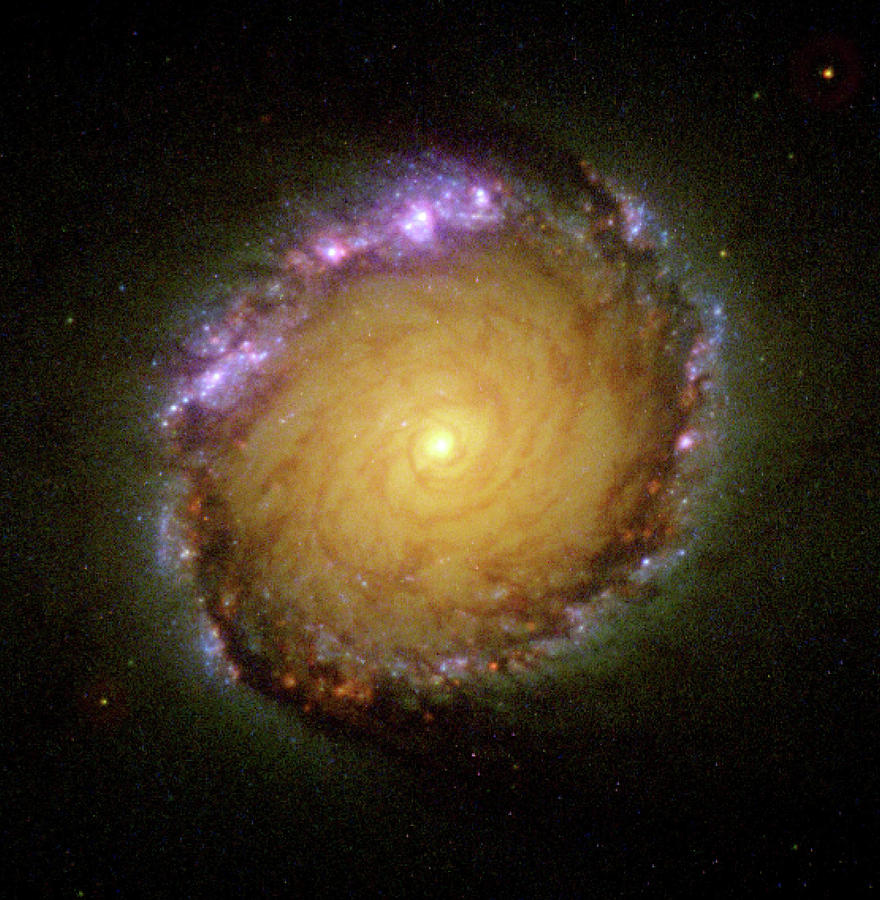Spiral Galaxy Ngc 1512 Photograph by Nasa/esa/stsci/d.maoz, Tel-aviv University/ Science Photo Library