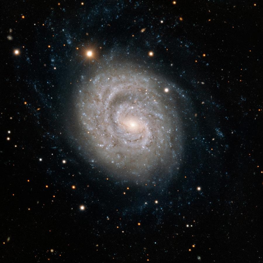 Space Photograph - Spiral Galaxy Ngc 1637 by European Southern Observatory