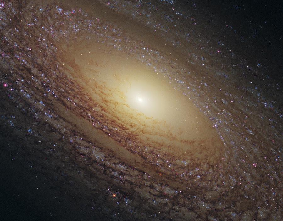 Spiral galaxy NGC 2841, HST image Photograph by Science Photo Library