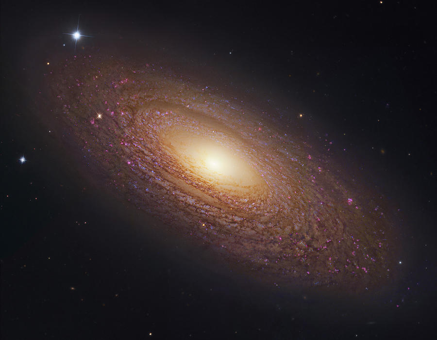 Interstellar Photograph - Spiral Galaxy NGC 2841 by Celestial Images
