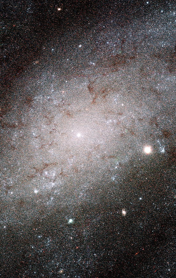 Space Photograph - Spiral Galaxy Ngc 300 by Nasa/esa/stsci/hubble Heritage Team/ Science Photo Library