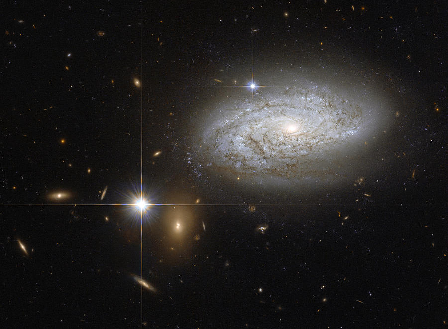 Spiral Galaxy Ngc 3021 Photograph by Science Source