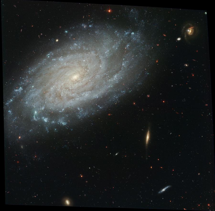 Spiral Galaxy Ngc 3370 Photograph by Nasa/esa/stsci/hubble Heritage Team/ Science Photo Library
