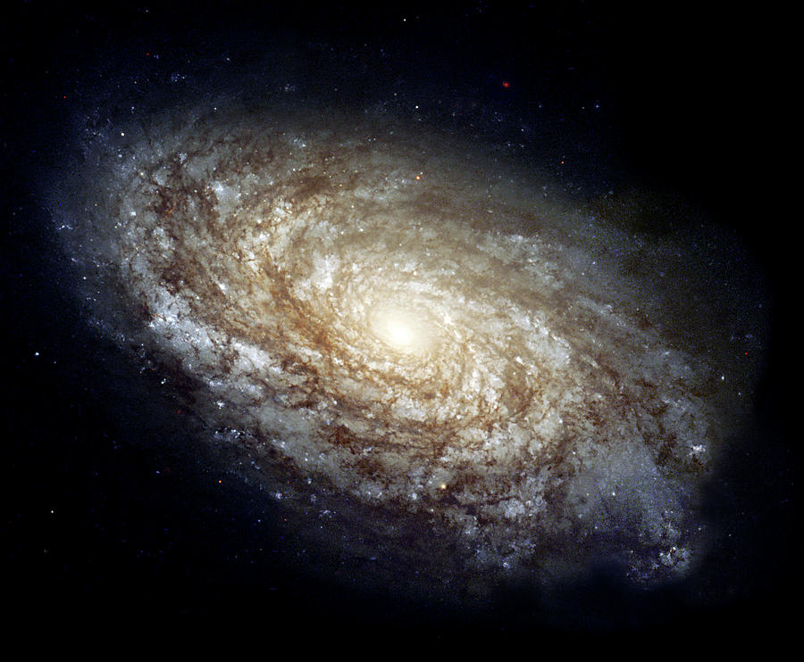 Spiral Galaxy Ngc 4414 Photograph by Nasaesastscihubble Heritage Team