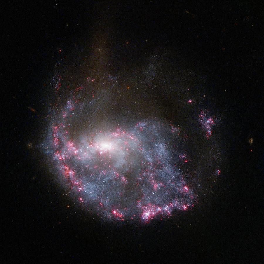Spiral Galaxy Ngc 922 Photograph by Nasa/esa/stsci/science Photo Library