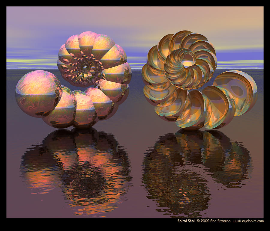 Spiral Shell  Digital Art by Ann Stretton