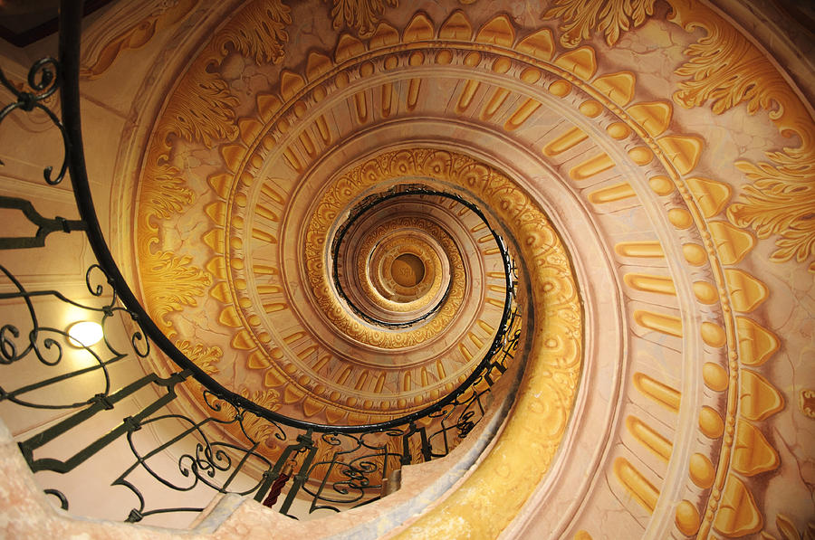 Spiral Staircase Photograph by Chevy Fleet