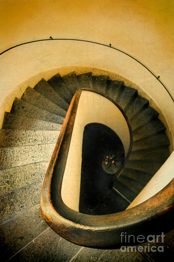 Spiral Staircase Photograph by Jill Battaglia