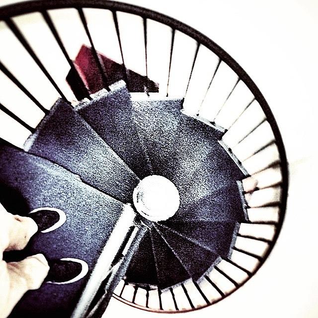 Abstract Photograph - Spiral Staircase by Brandon McKenzie