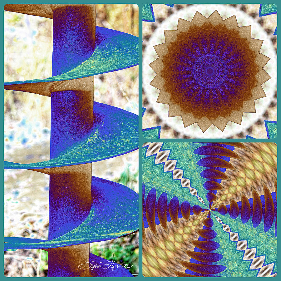 Collage Photograph - Spiral by Sylvia Thornton