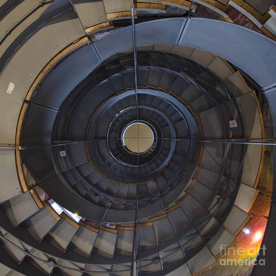 Spiralling upwards Photograph by Steev Stamford
