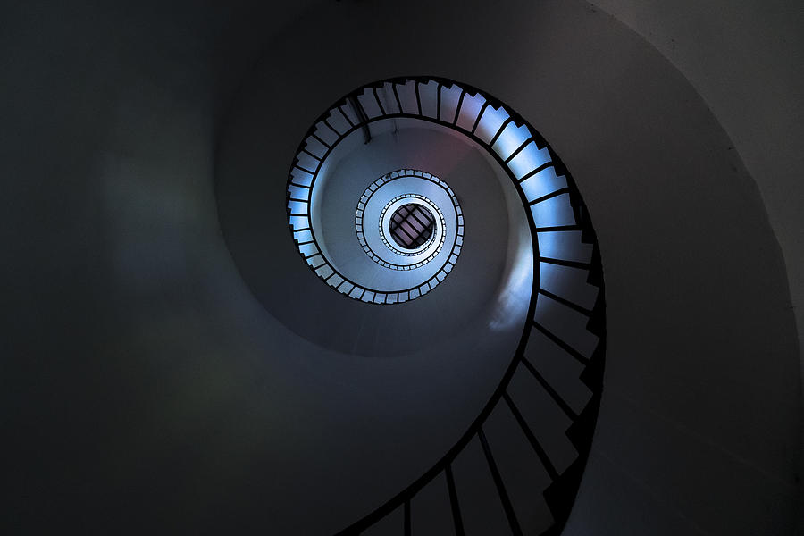 Spirally going up or coming down? Photograph by Krishna Moorthi Esakkymuthu