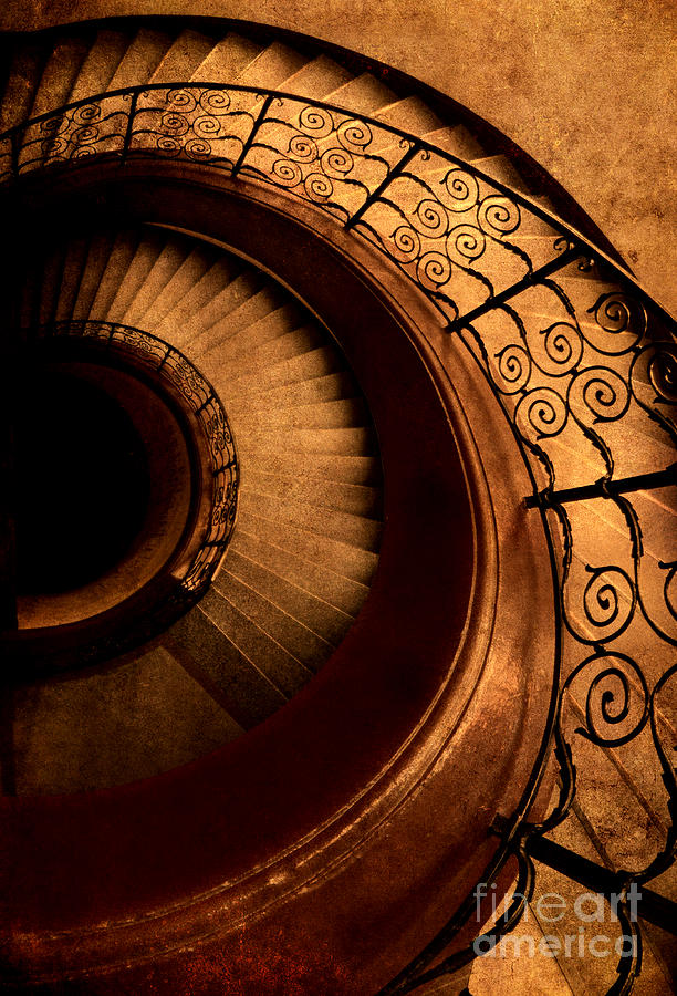 Spirals in brown Photograph by Jaroslaw Blaminsky