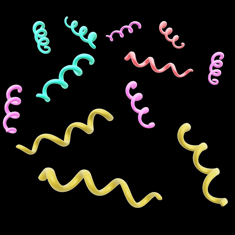 size-shape-arrangement-of-bacteria-microbe-online