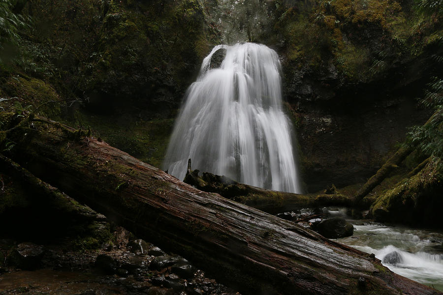 Spirit Falls Photograph by Kami McKeon