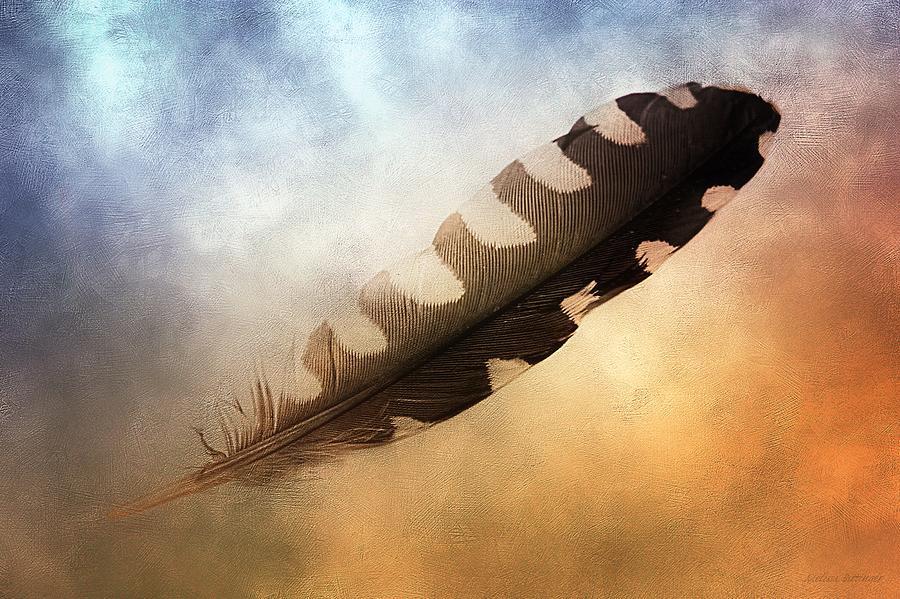 Spirit Feather Photograph by Melissa Bittinger