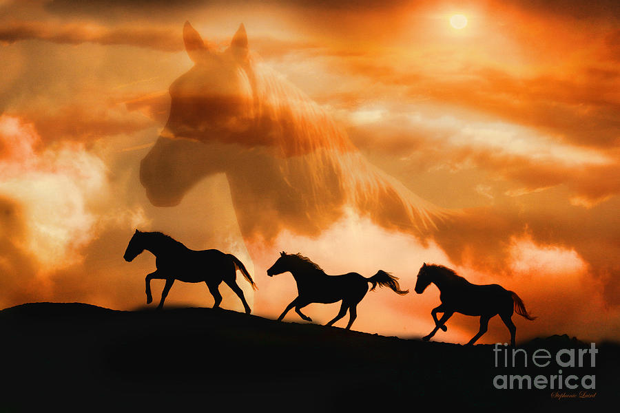 Horse Photograph - Spirit Guide by Stephanie Laird