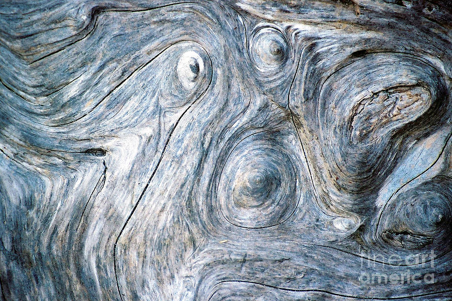 Abstract Photograph - Spirit In The Wood by Douglas Taylor