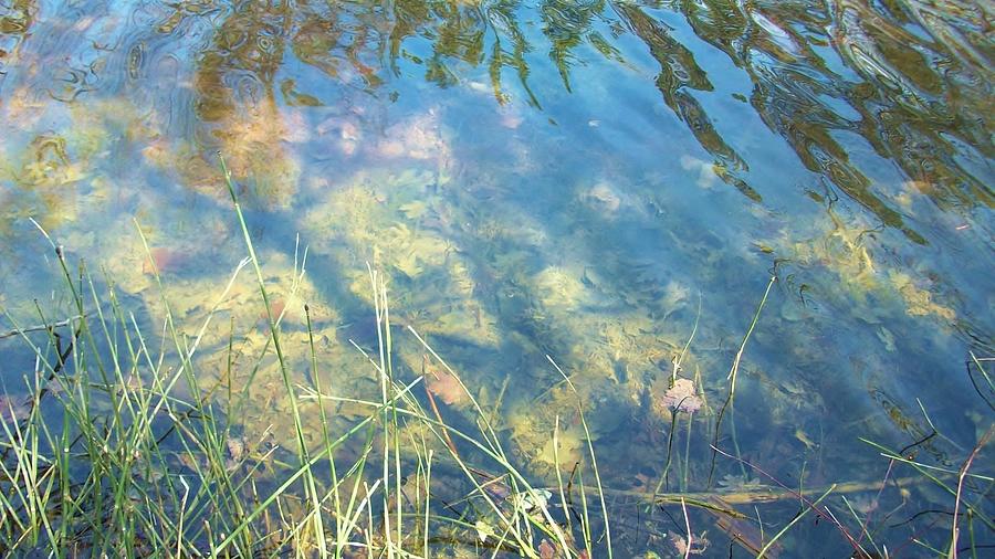 Spring Photograph - Spirit Lake by Sharon Ackley