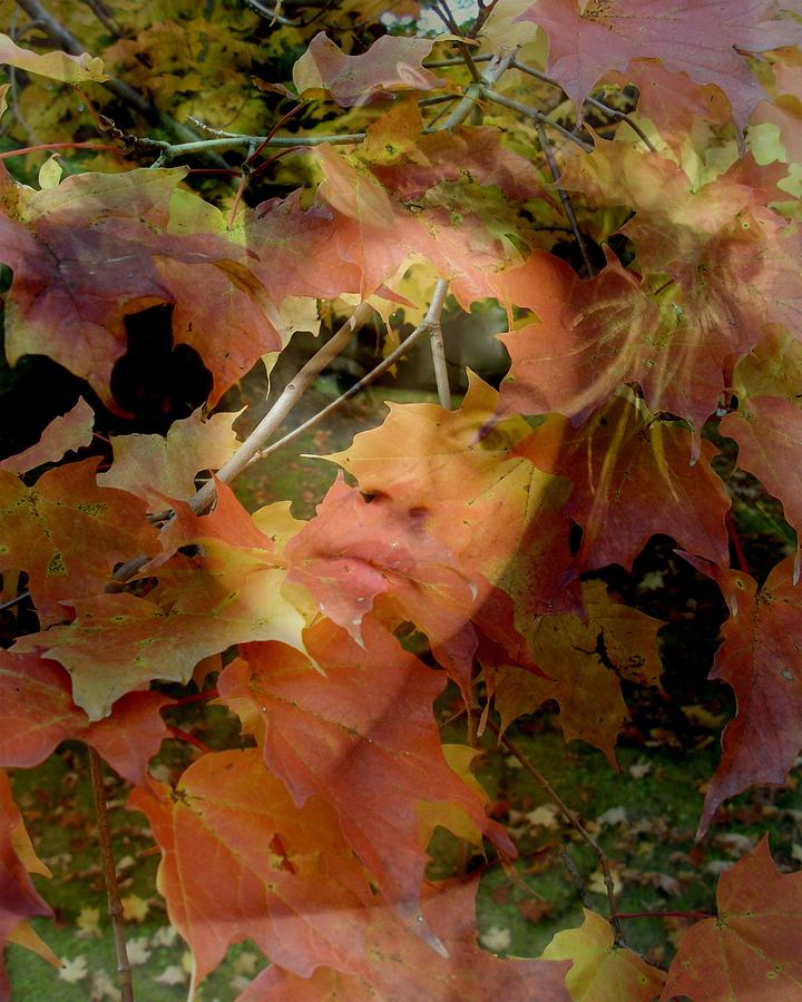 Spirit Of Autumn  Photograph by Jodie Marie Anne Richardson Traugott          aka jm-ART
