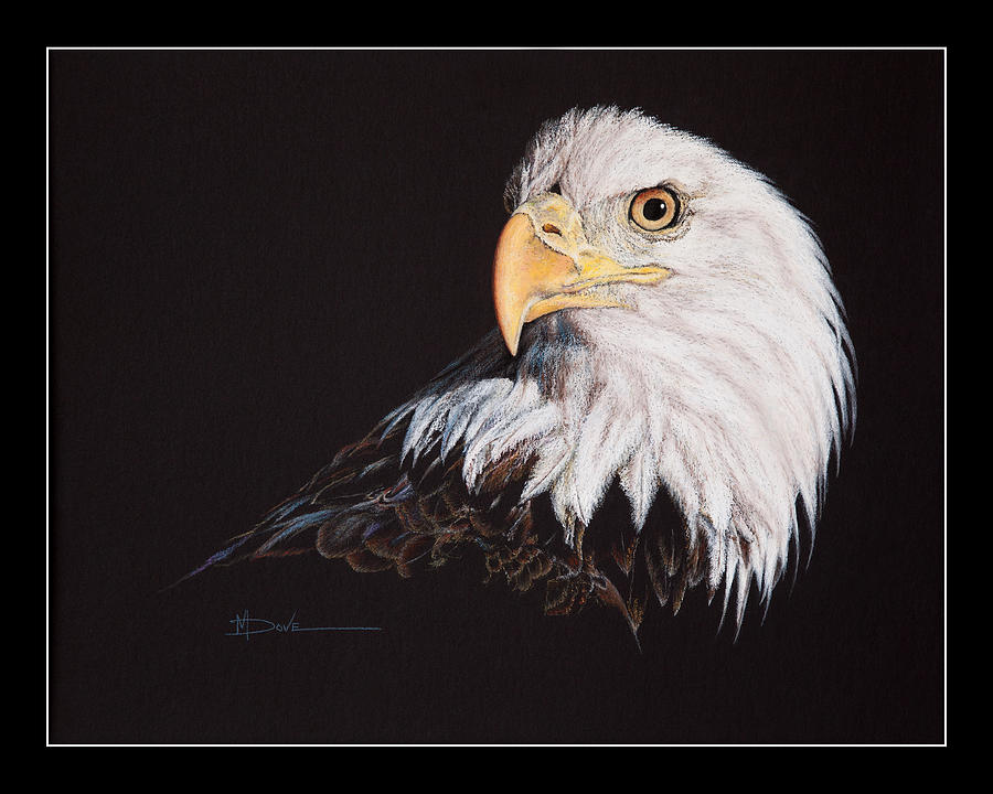 Spirit of Freedom Bald Eagle Painting by Mary Dove
