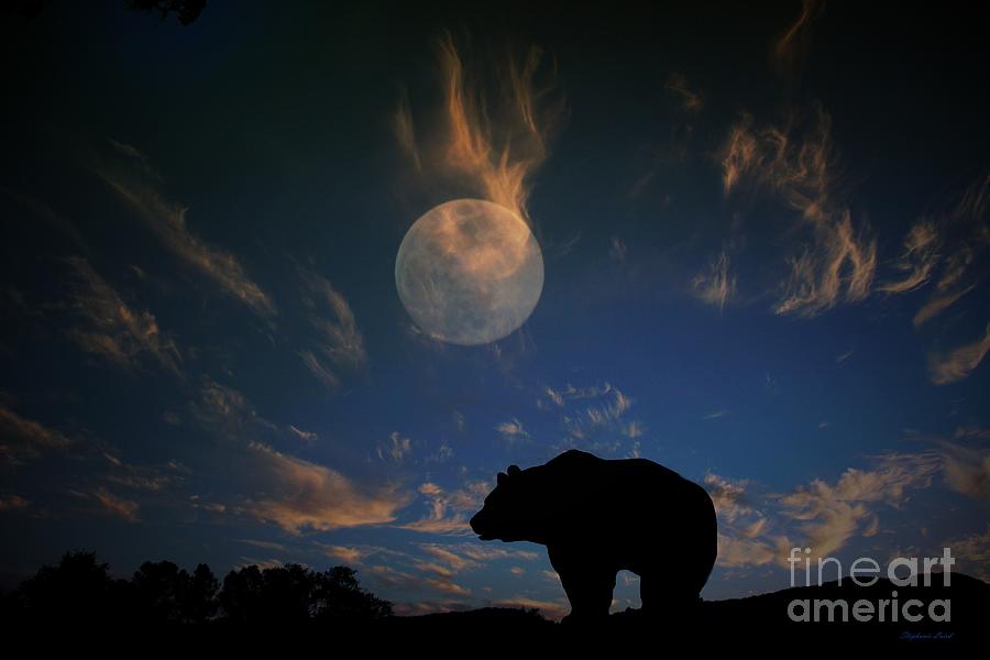 Spirit of the Bear Photograph by Stephanie Laird