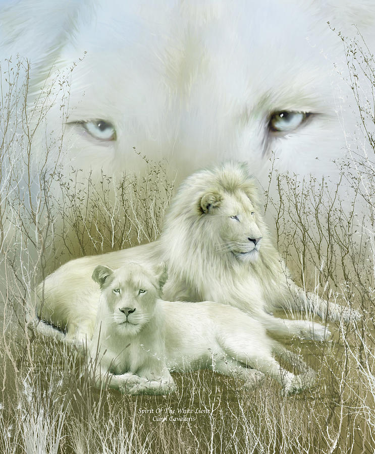 Spirit Of The White Lions Mixed Media by Carol Cavalaris