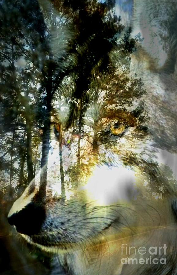 Spirit of the Wolf Photograph by Maria Urso